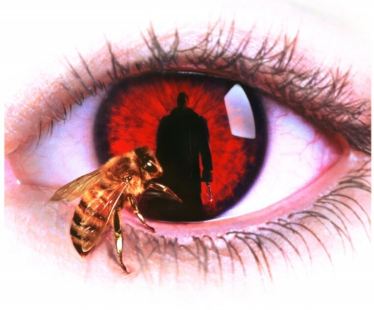 Иллюстрация из Яндекс картинки