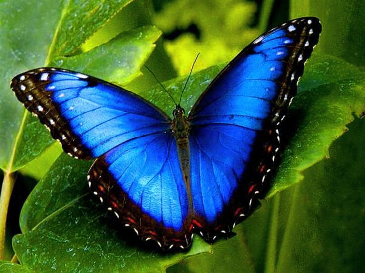 Необыкновенно