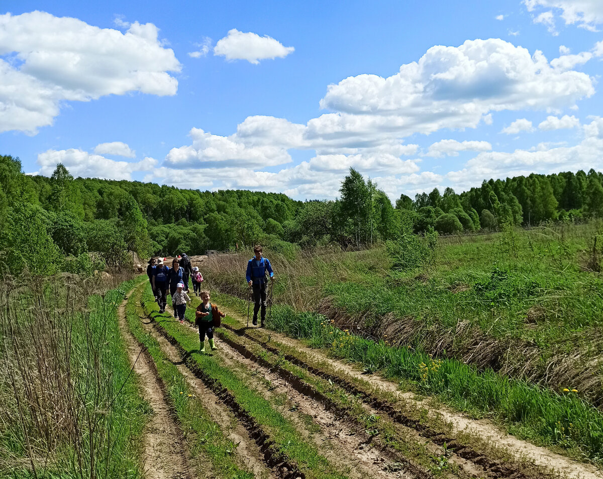 Как весело ходить в походы с детьми. Смотрим заброшенную деревню Пышково |  ARINSKY | Дзен