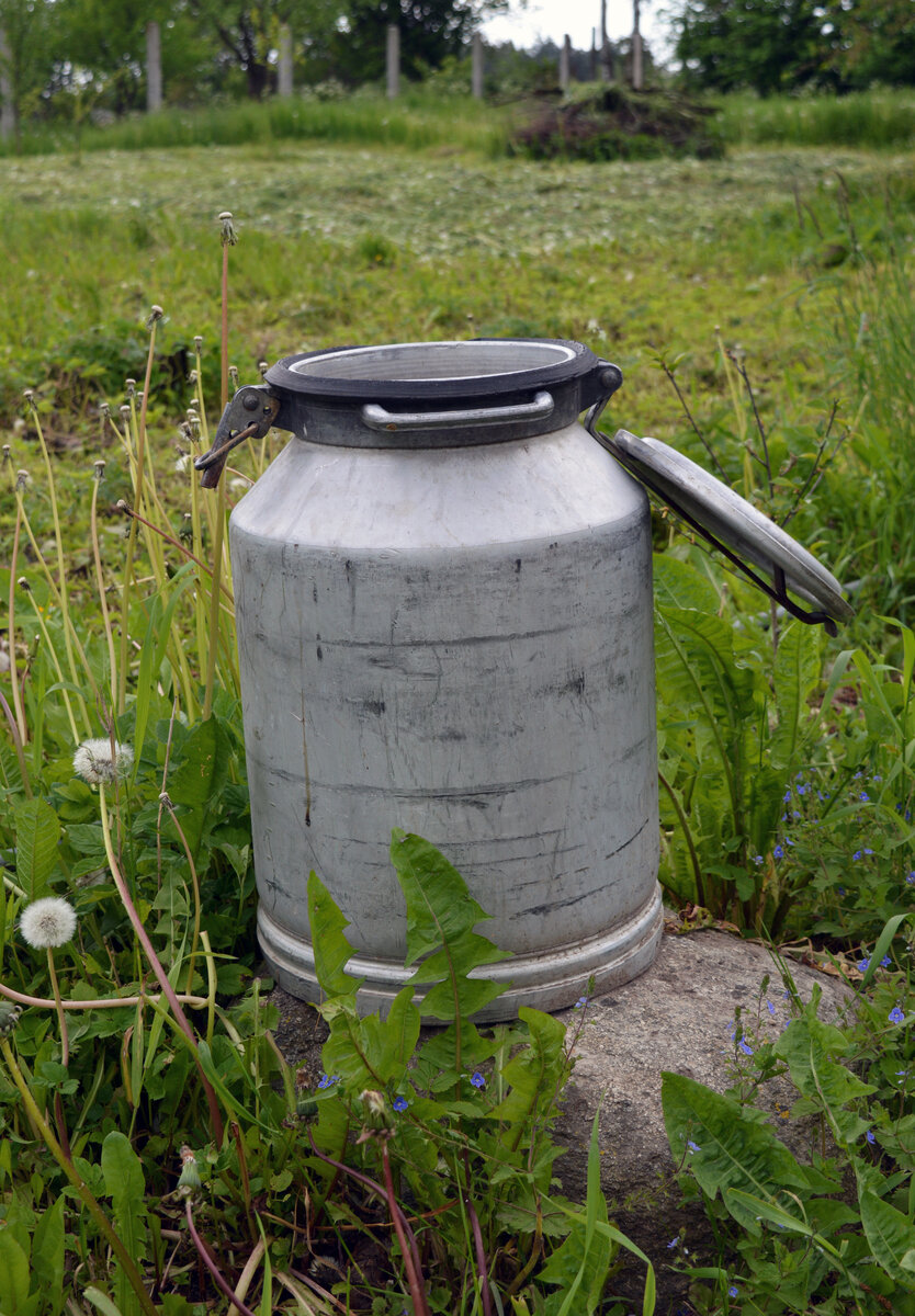 Кто вёдрами, а кто флягами воду возит