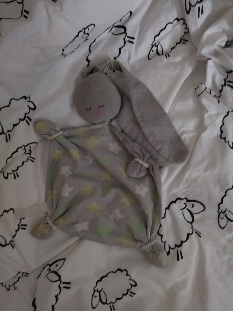 Ванина зайка