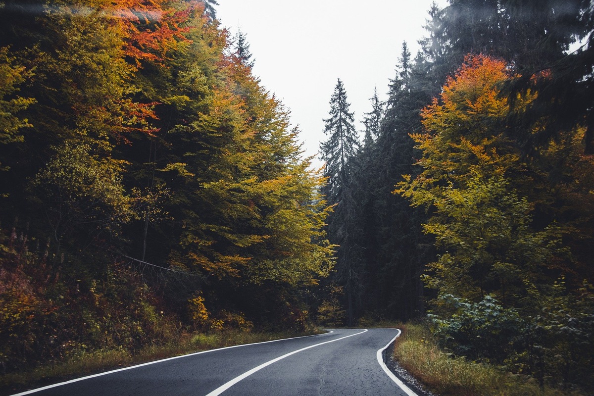 Источник фото: https://pixabay.com