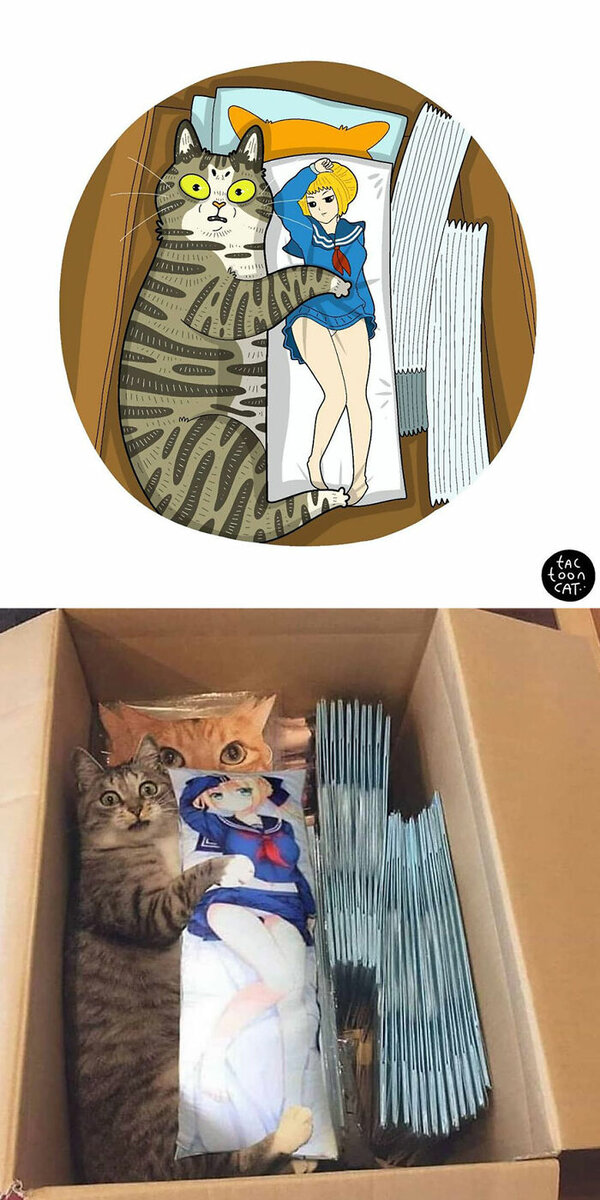 Фото: www.instagram.com/tactooncat/ 