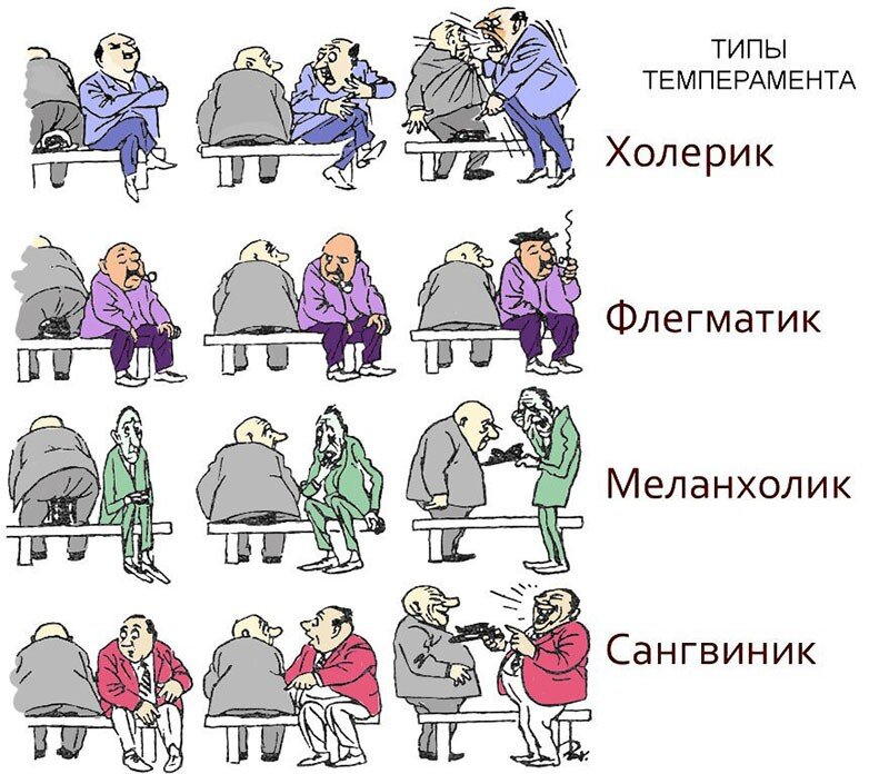 Астрология характера: темперамент и Знаки Зодиака | Астрология. RU | Дзен