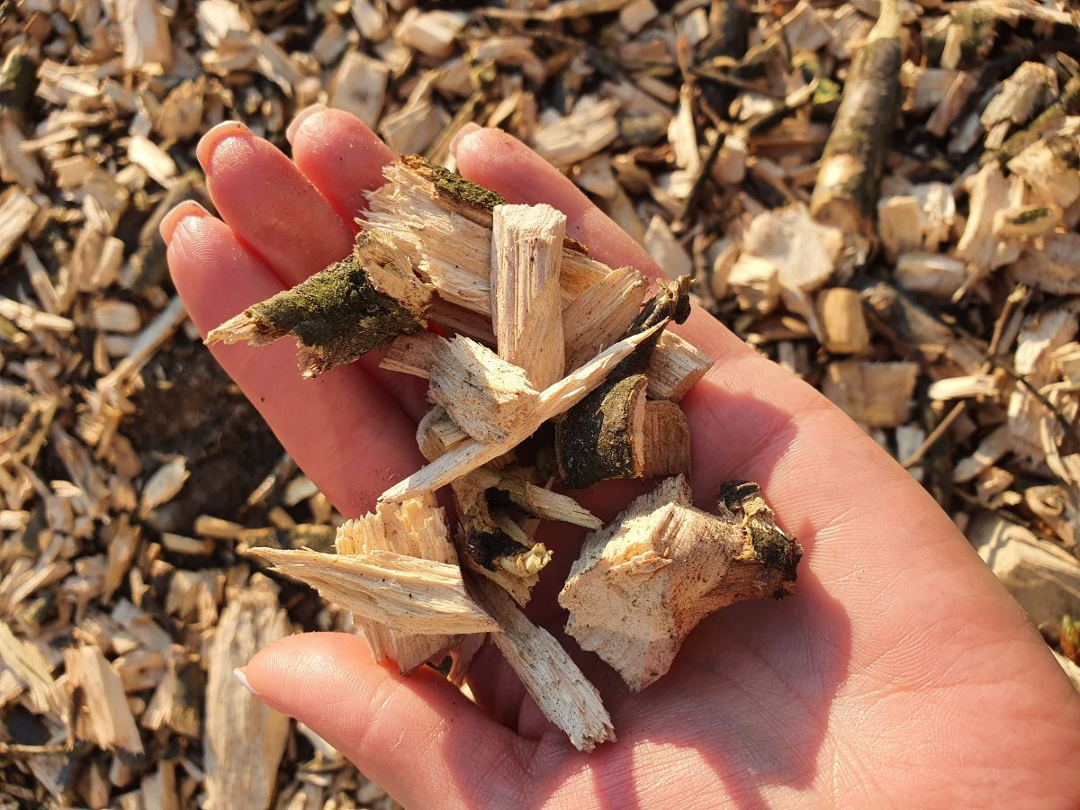 Древесная щепа