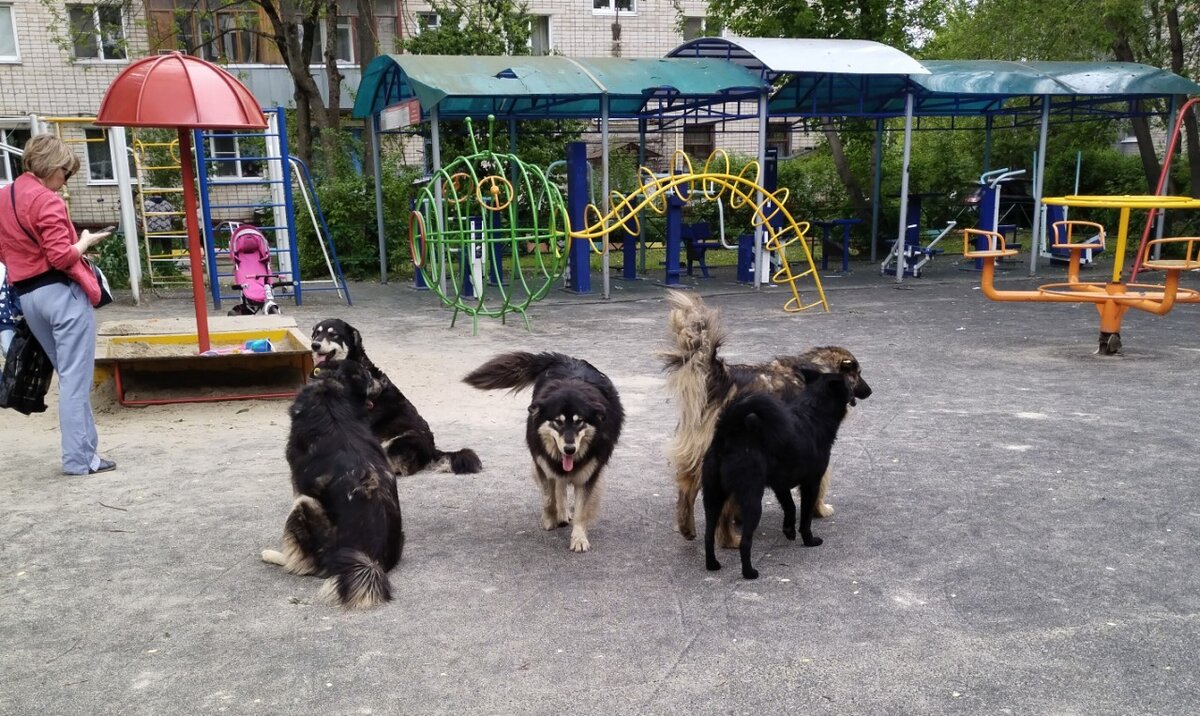 Источник: https://www.kp40.ru