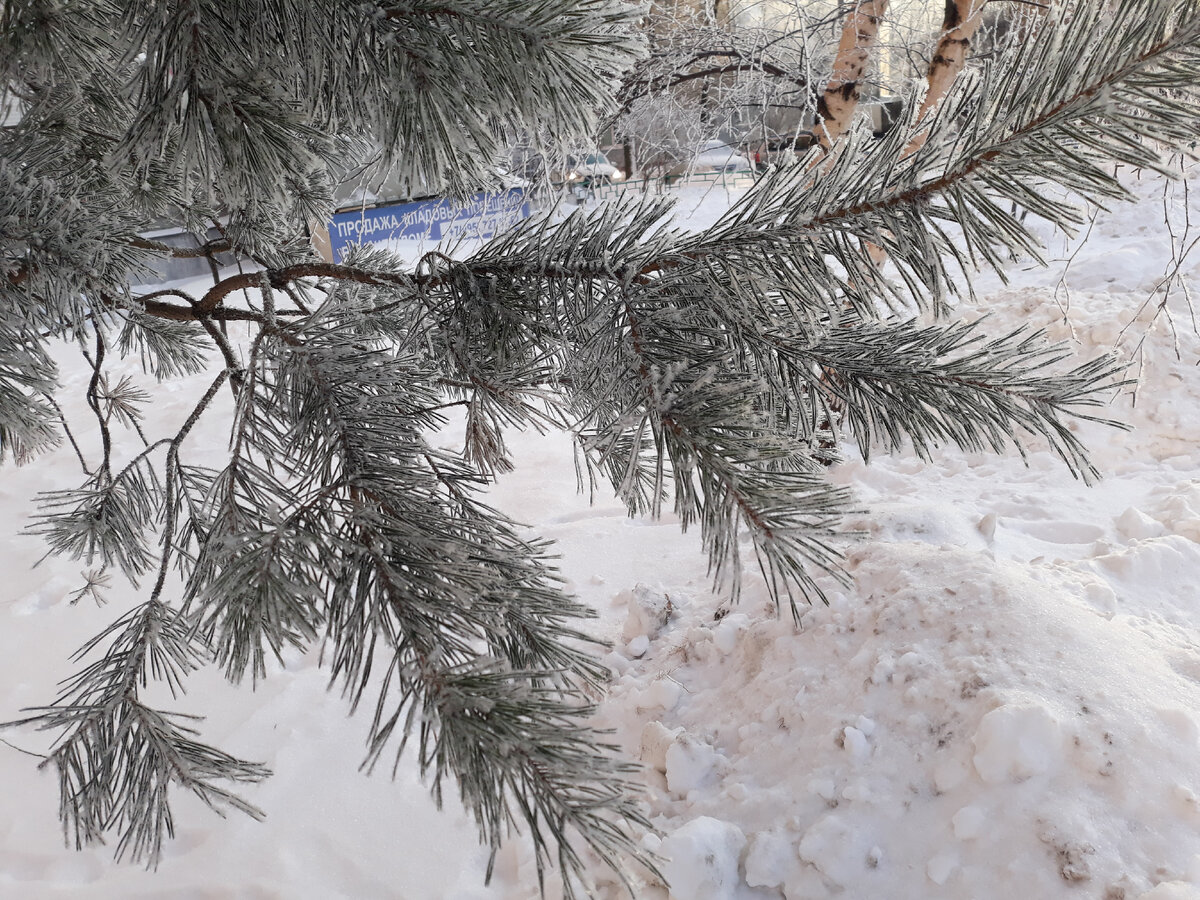 Фото нашла у себя симпатичное