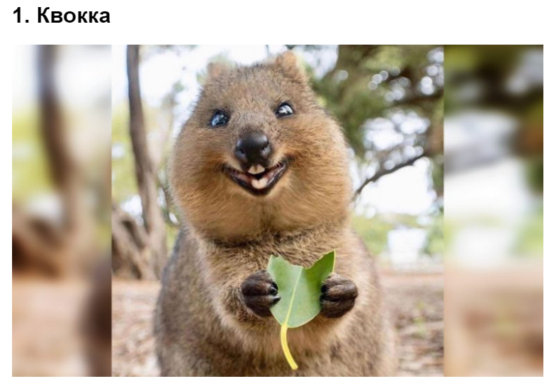 Илл. с сайта https://stylefocus.net/