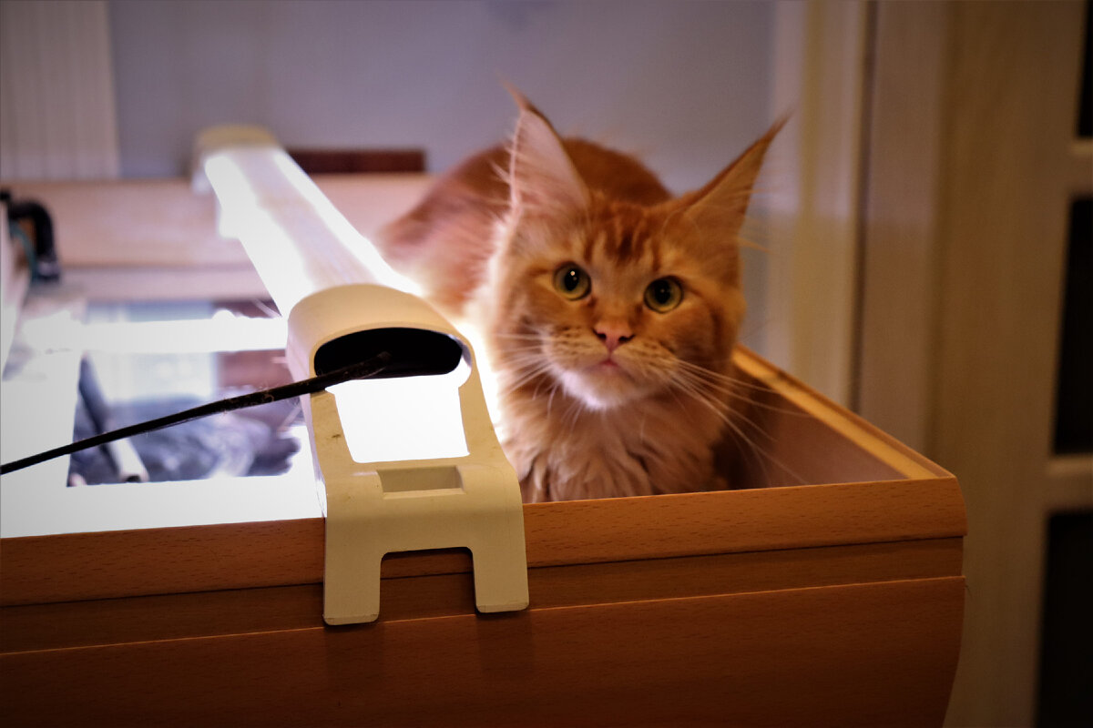 Фото из личного архива.