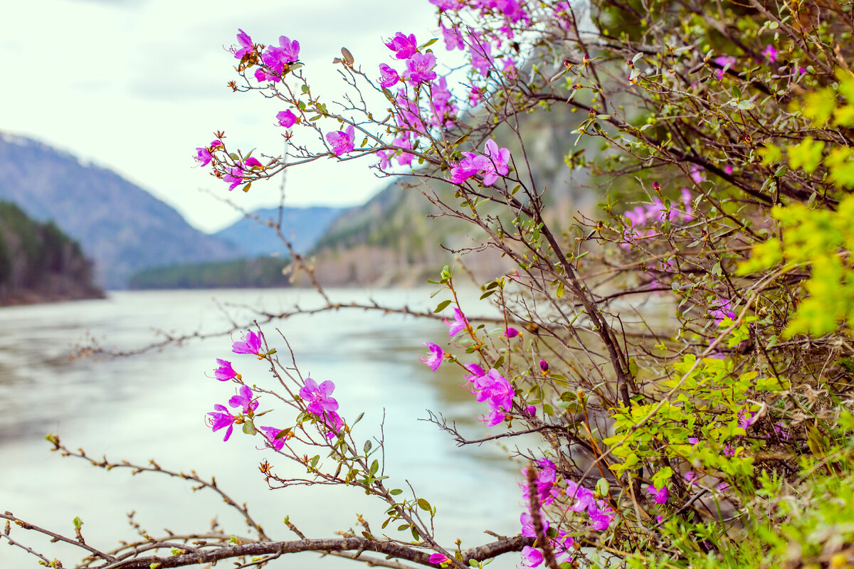 Фото - Артур Демченко