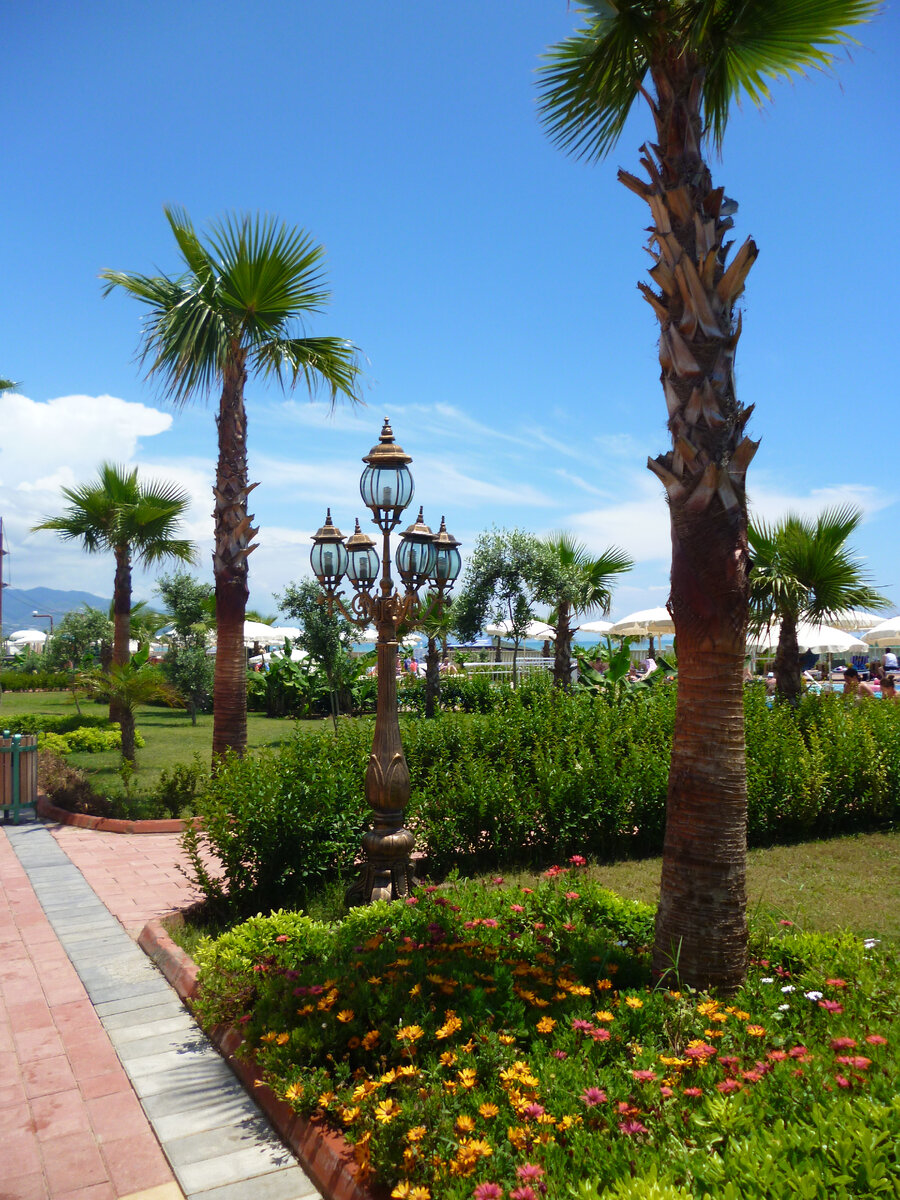 Где-то на территории у моря