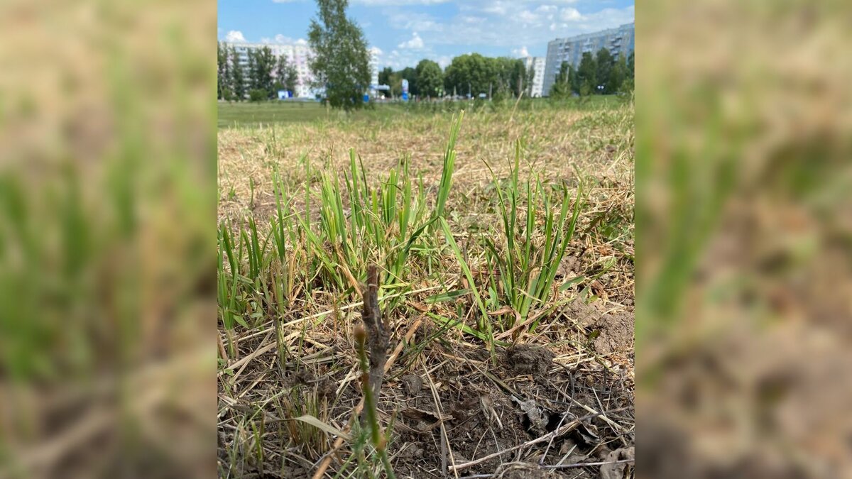 Фото: страница Виктора Лоренца «ВКонтакте»