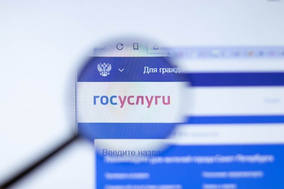     Электронный сервис купли-продажи автомобиля стал доступен на Госуслугах  Shutterstock
