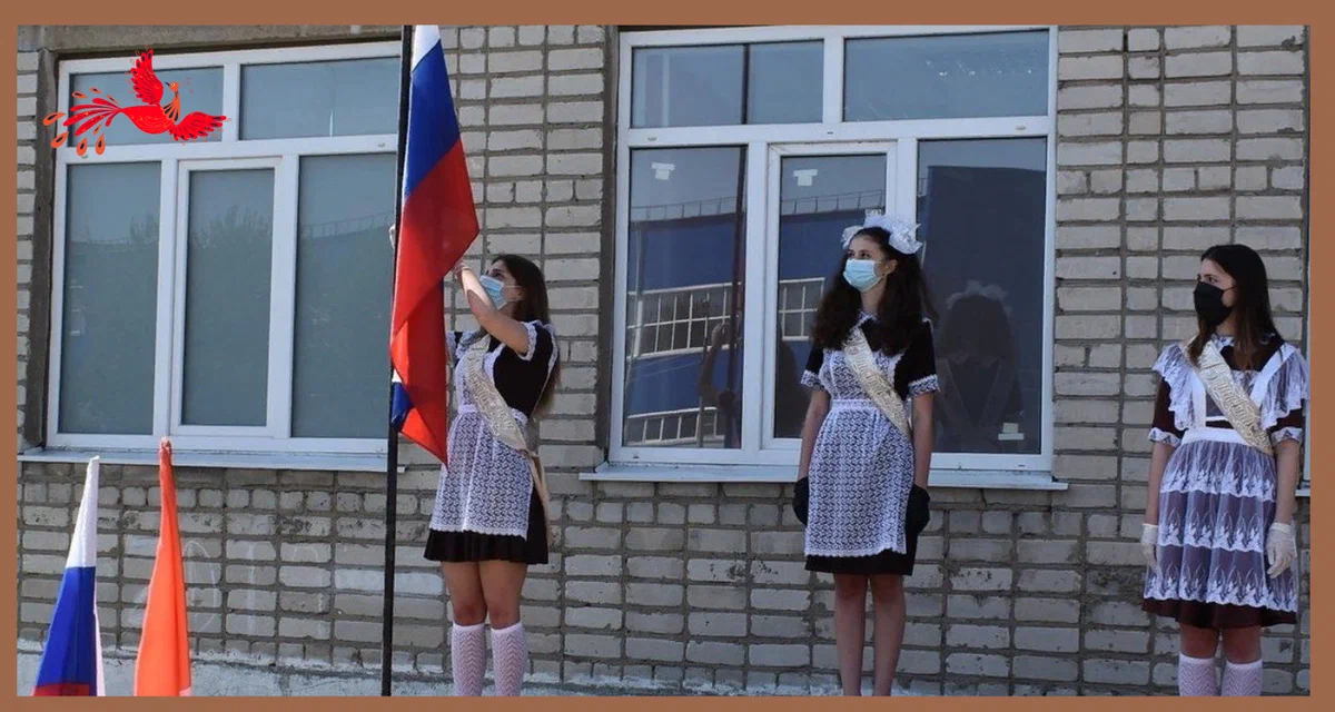 Яндекс картинки