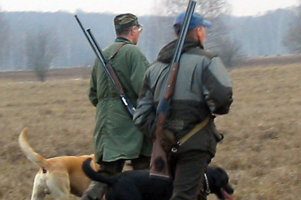     В охотугодьях не проводят воспроизводственные и биотехнические мероприятия для увеличения численности животного мира. Владимир ВЕЛЕНГУРИН