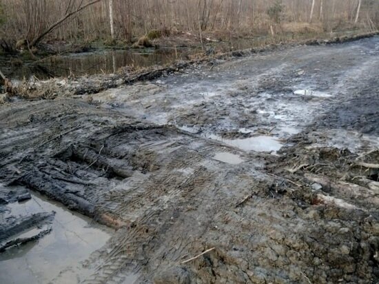     Фото: Любовь Макарова-Володина