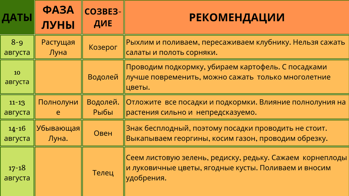 Лунный календарь садовода на август 2022 года | БИО-комплекс | Дзен