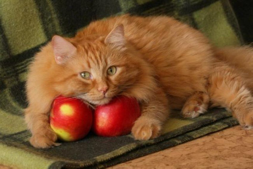 Источник фото: fotostrana.ru