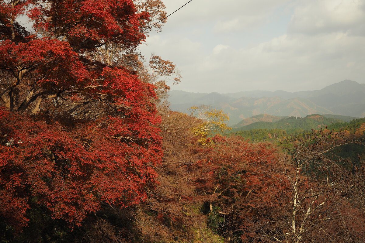 Осень в Ёсино (фото автора)