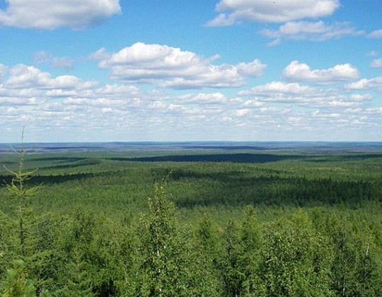 Сусловская воронка. Источник: официальный сайт Тунгусского заповедника, www.tunzap.ru