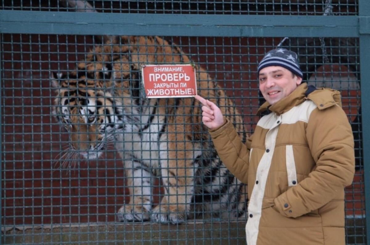 Как спасают потерявшихся белых медвежат и животных в Донбассе, чем лечат зубы тиграм и как делают анестезию диким животным. Об этом и многом другом aif.