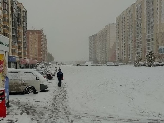     Елена Балуева / МК в Новосибирске