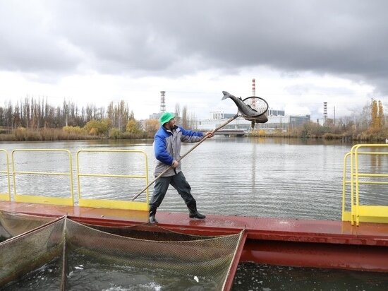     Фото: администрация Курской области