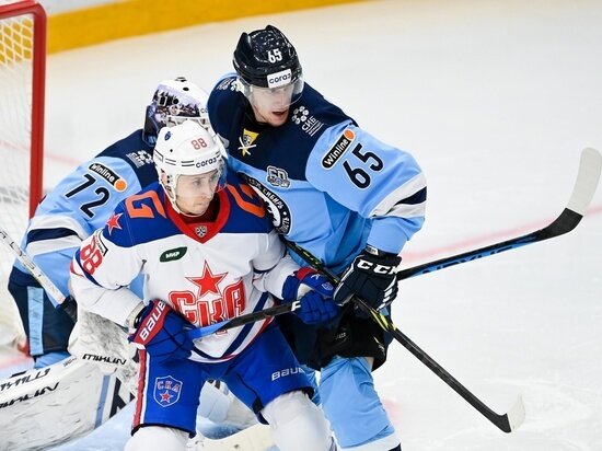    Встречу команда провела в гостях. Фото: ВКонтакте / Хоккейный клуб СКА