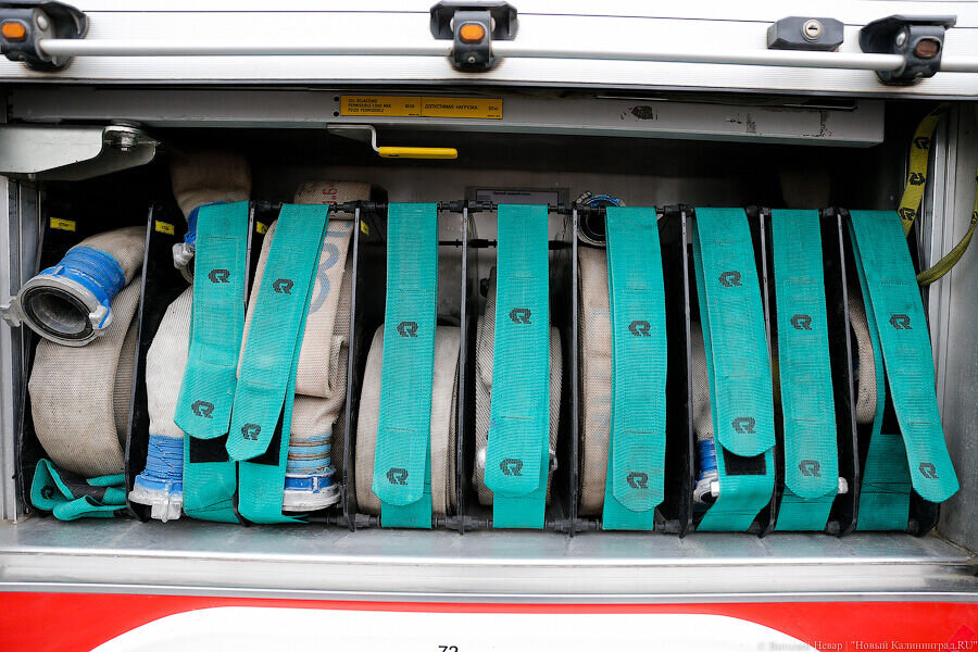 Фото: Виталий Невар / Новый Калининград