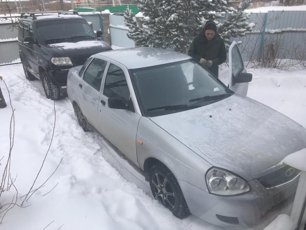 Конь в стойле)