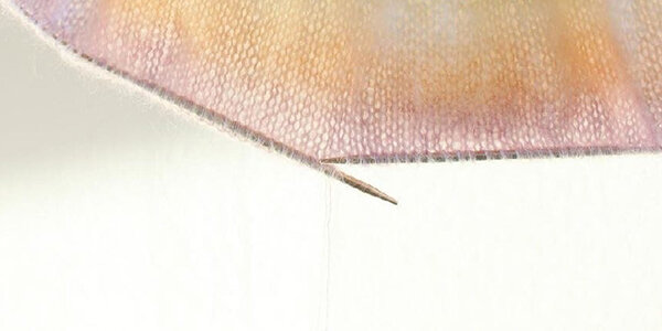 Фото предоставлено Ольгой Бековой