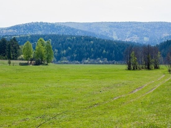     архив МК