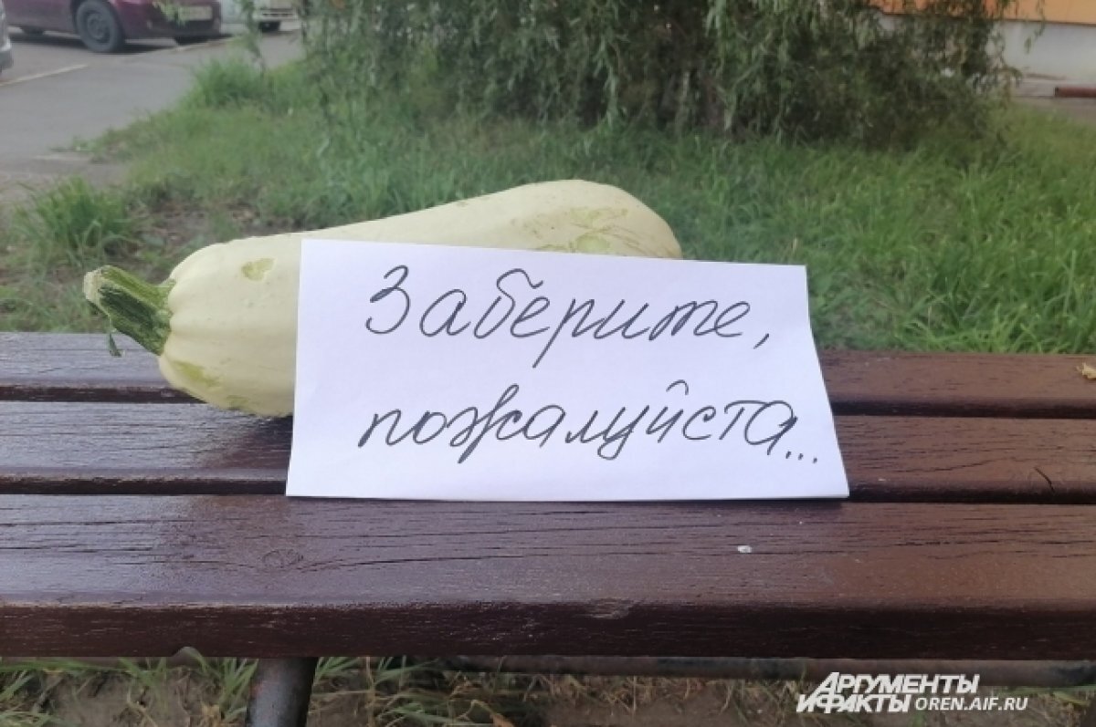    Конеферма аграрного университета открыла пункт приема овощей в Барнауле
