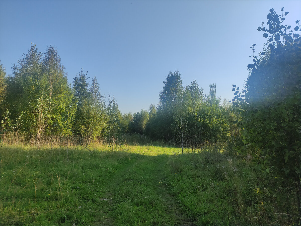 На полянке ещё лето