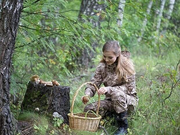 Женщина собирает грибы. Баба собирает грибы. Девушка собирает грибы в лесу. Блондинка собирает грибы. Красивая девушка собирает грибы.