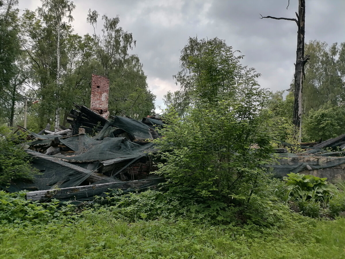 Сожгли все исторические постройки в городке под Петербургом | Приключения  Петербуржцев в России | Дзен