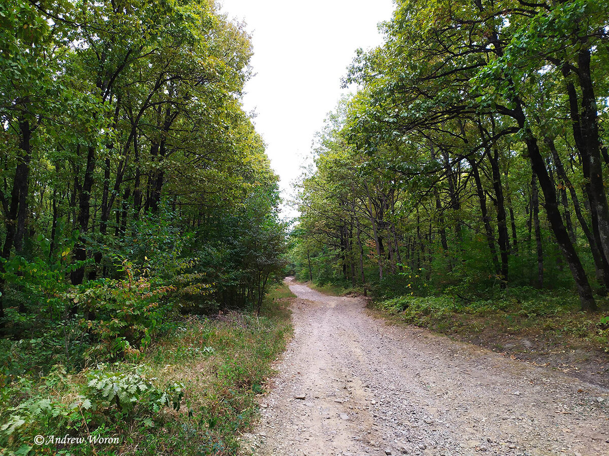 Дорога на хребет Котх