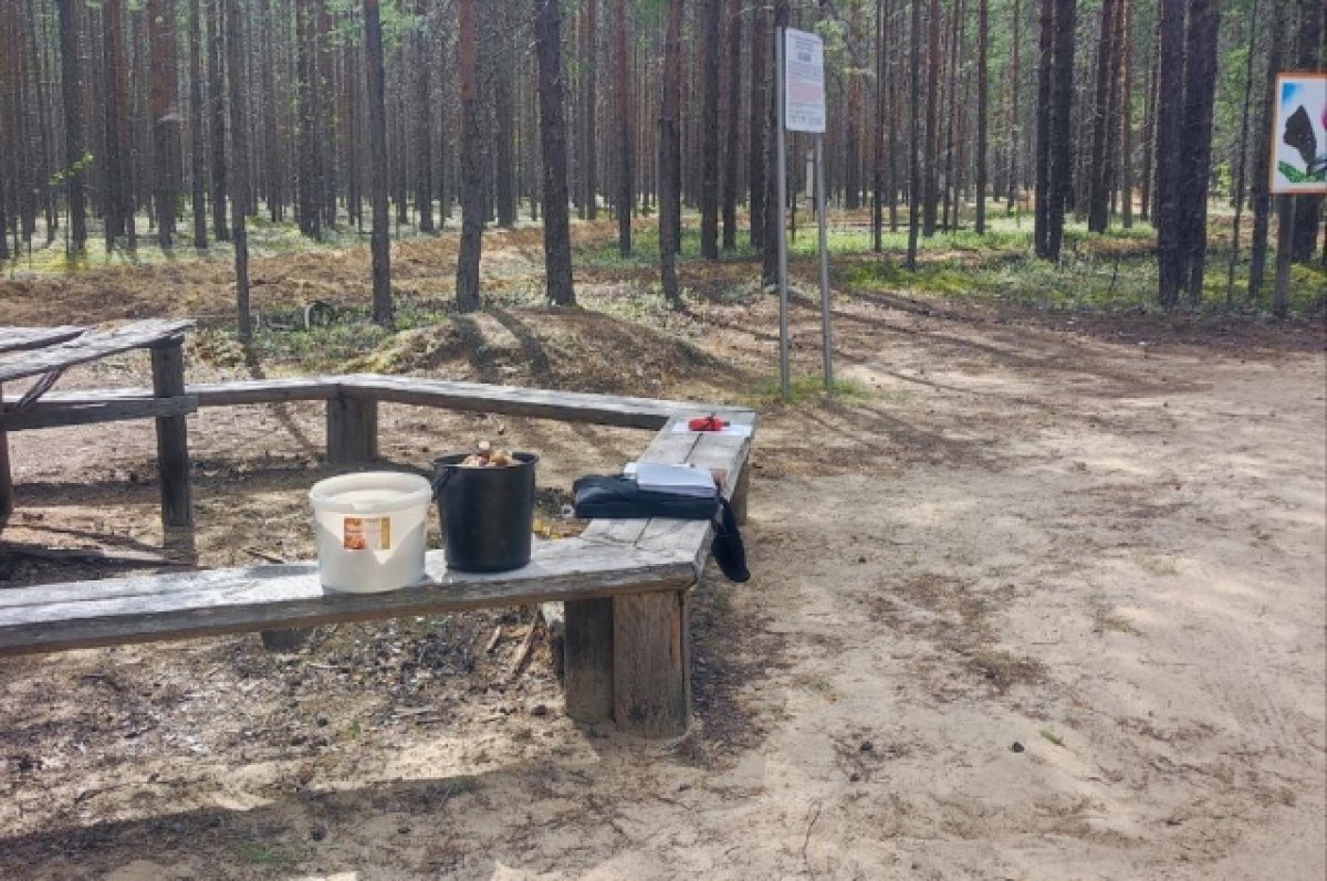    В Коми создают Усть-Пожегский природный заказник