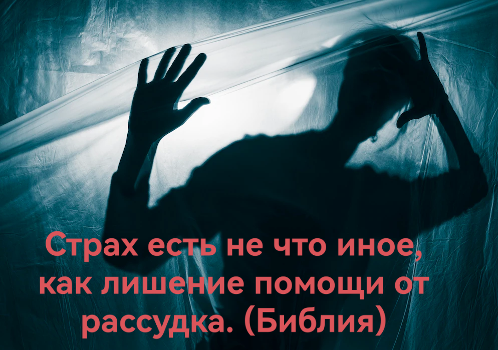 Фото из свободных источников 