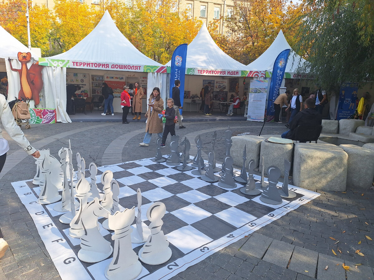 а не сыграть ли нам в шахматы?