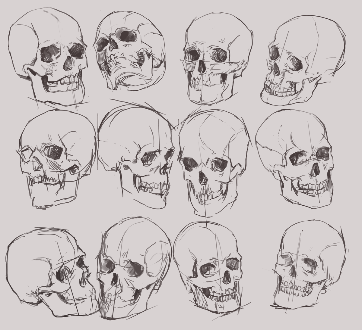 Рисунок черепа человека