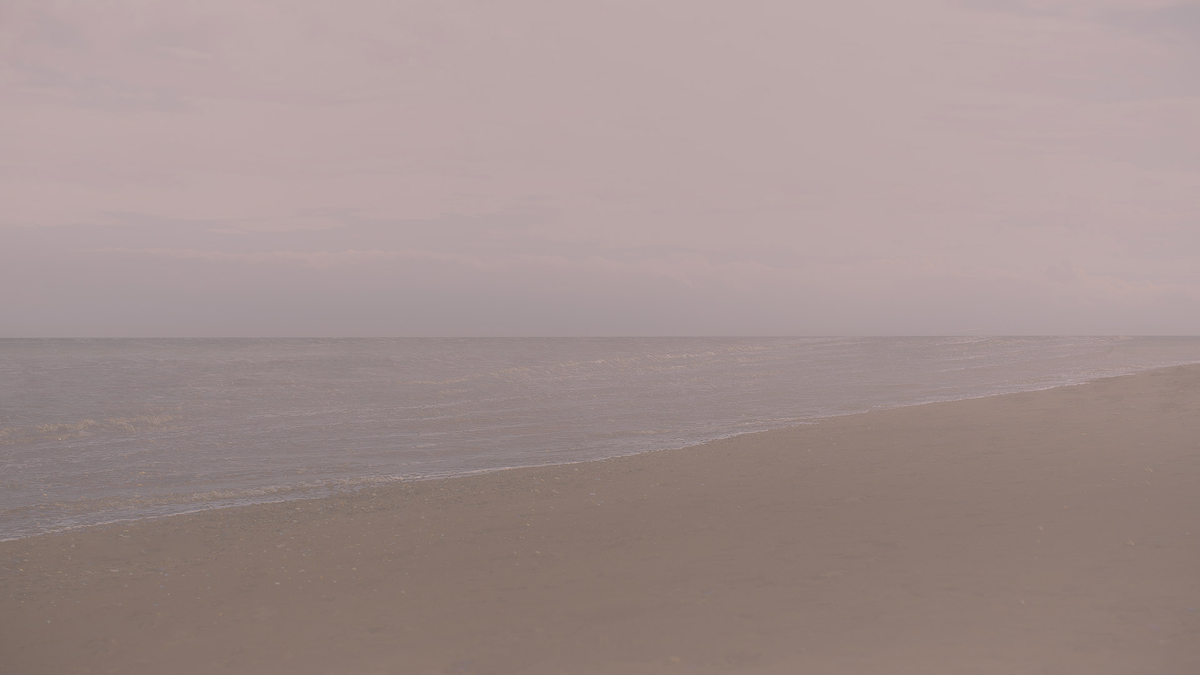Фотография: Chris Friel