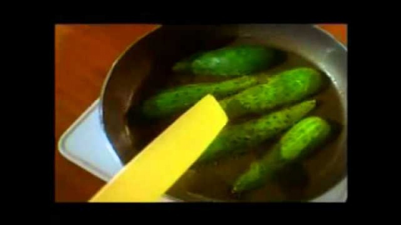 Фото из открытого источника.