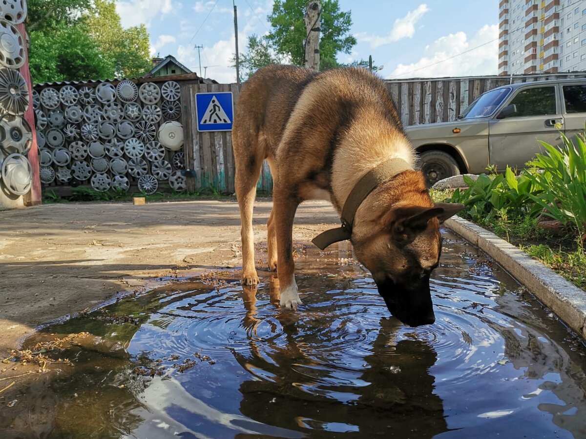 -2