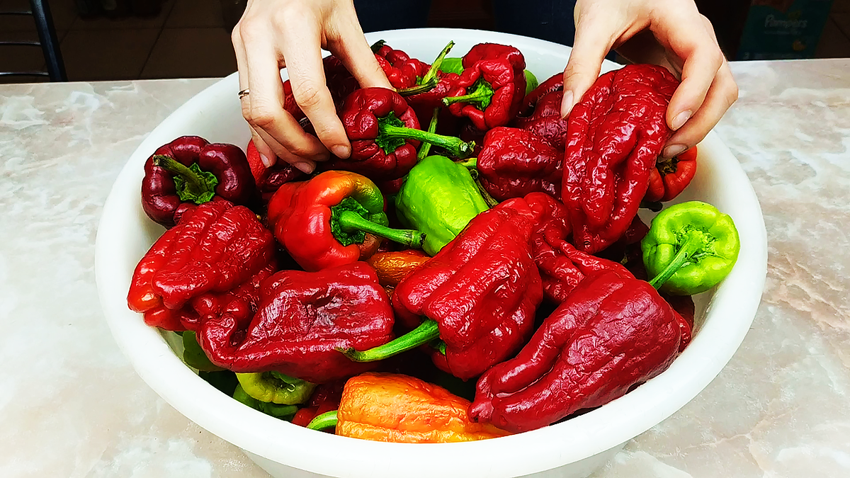 Сладкий перец в заливке на зиму без уксуса