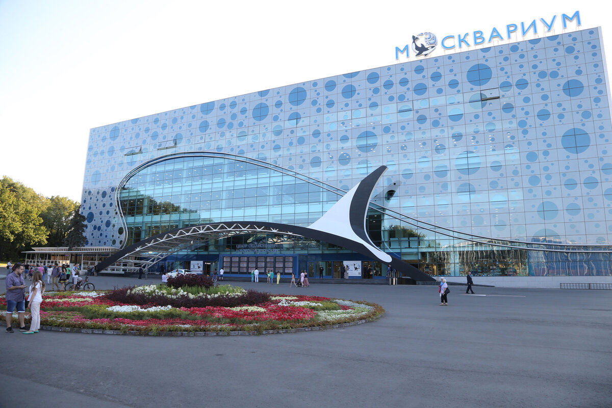 Источник: Яндекс Картинки