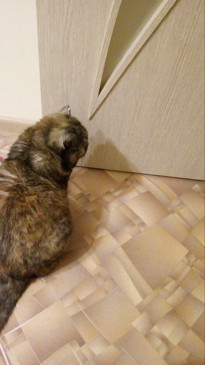 Обиделись мы