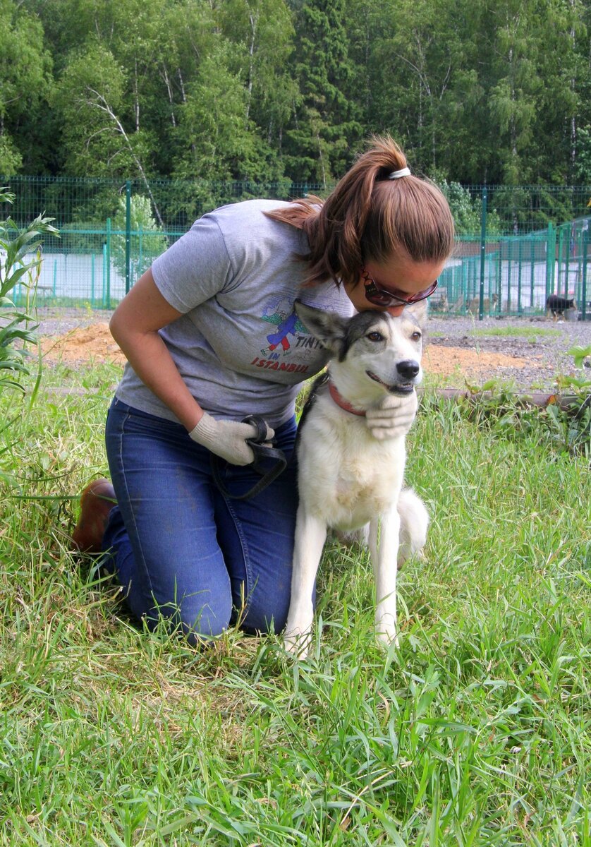 Афина, приют солнцево