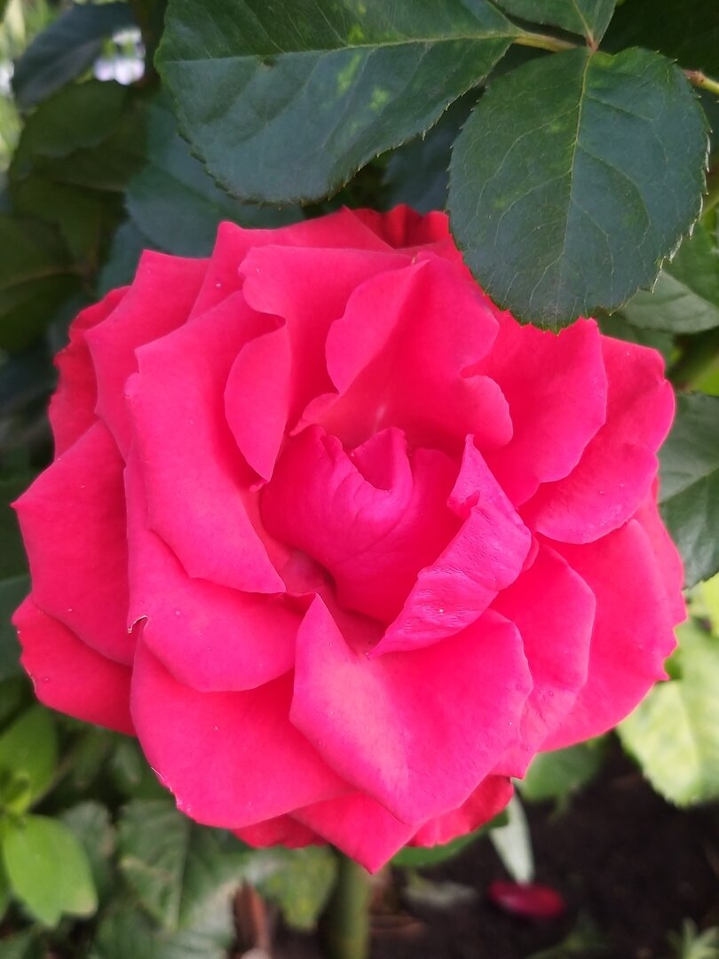 *                                                                                               Фото автора статьи