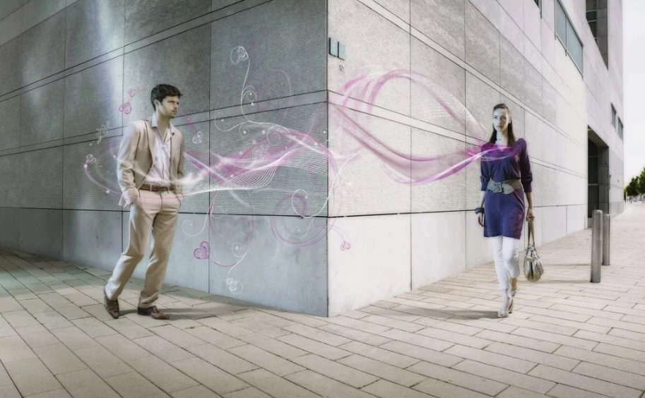 Изображение из открытых источников сети Интернет